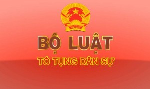 Thủ tục đặc biệt