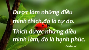 Hạnh phúc là được làm việc mình yêu thích