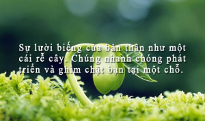 Nói năng chừng mực, vui đùa đúng độ, xử sự có tình, nói lời có đức