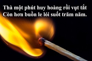 Đom đóm dưới lòng đất 2 tháng chỉ để tỏa sáng 5 ngày