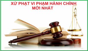 Quy định mới về xử phạt vi phạm hành chính trong lĩnh vực hải quan